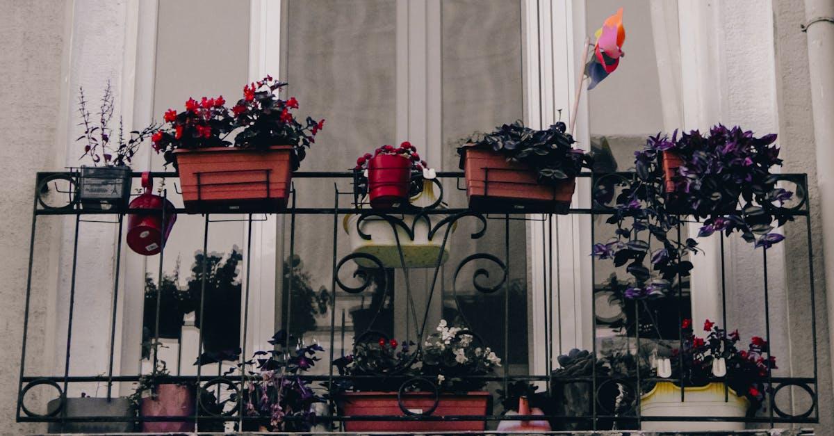 Balkon skąpany w słońcu: niezawodne rośliny, które rozkwitają w pełnym świetle