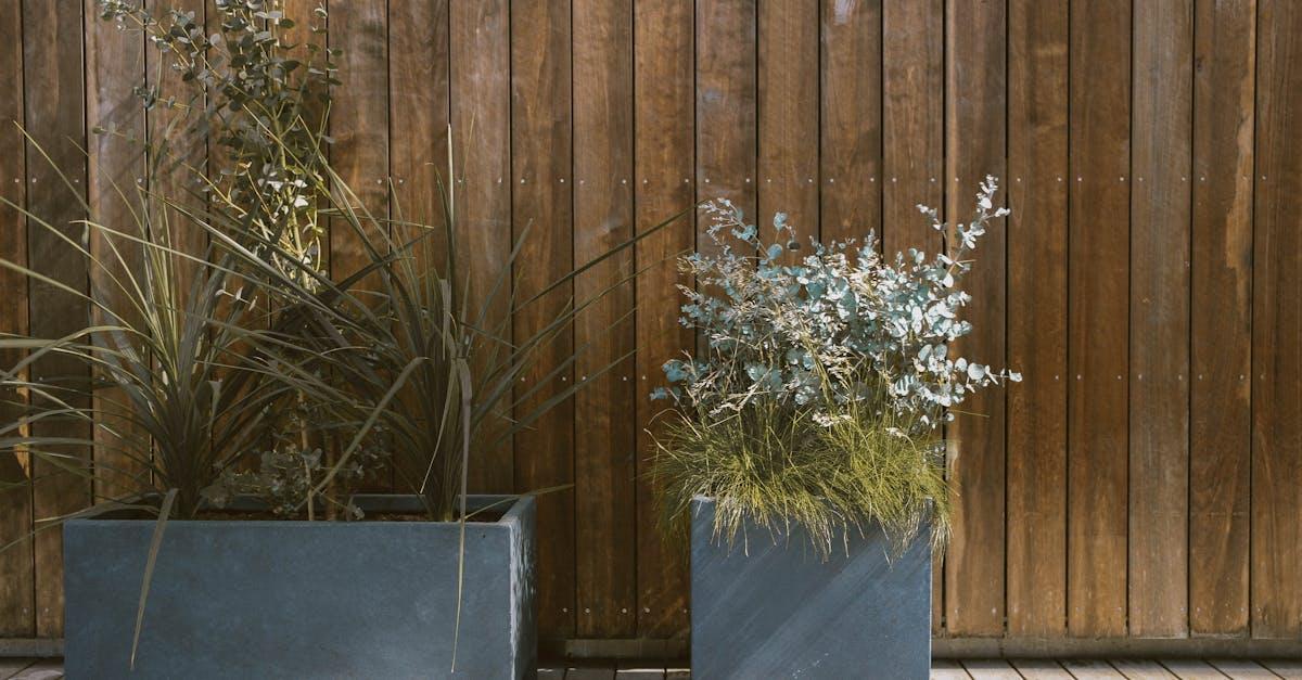 Balkon w rozkwicie: jak dobrać idealne donice do Twojej przestrzeni
