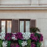 Mały balkon, wielkie możliwości: zamień blokowy skrawek w miejską oazę